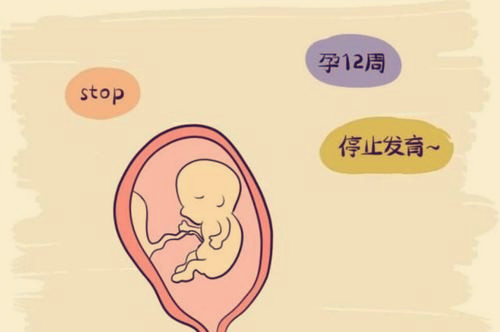 咸阳医院做试管婴儿与普通婴儿有区别吗