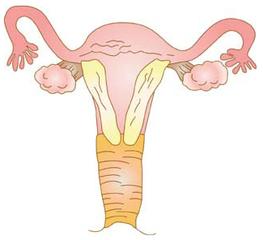 咸阳妇女得宫颈性不孕的原因是什么